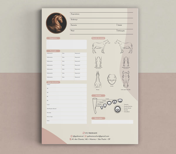 Ficha clínica para equinos