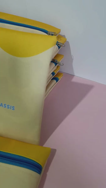 Pastinha pediátrica com ziper, estilo bolsa ou bolsinha necessaire para documentos pediátricos.